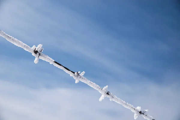 Escarcha Alambre Púas Contra Cielo Azul —  Fotos de Stock