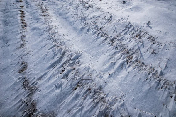 Текстура Выпавшего Снега Сухой Траве — стоковое фото
