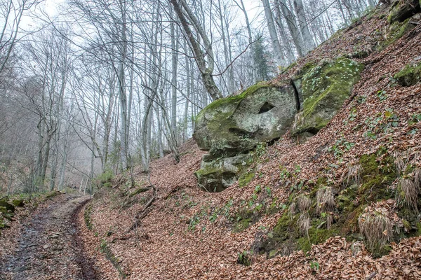 Karanlık Sonbahar Dağlarındaki Patika Muhteşem Hayvan Formunda Kayalar — Stok fotoğraf