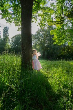 Kelebek kanatları olan küçük bir kız. Arka plandaki yeşil çimlerin arasında. Güneş parlıyor. Seçici odak.
