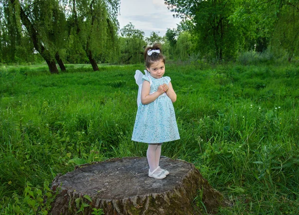 背の高い緑の草の間に大きな木の切り株に蝶の翼を持つ小さなかわいい女の子 選択的フォーカス ぼやけた背景 — ストック写真