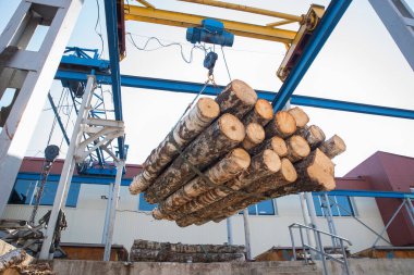 Bir ahşap atölyesinde elektrikli vinç ipiyle kütükleri kaldırmak..