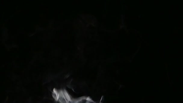 Movement Abstract Puffs Smoke Black Background — Stock Video