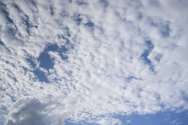Nubes blancas de verano en el cielo azul. — Foto de Stock