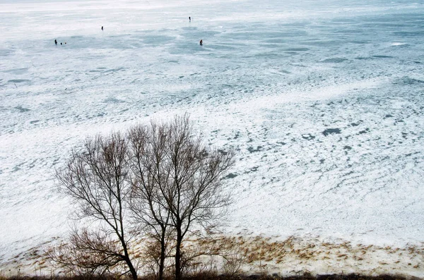 氷に覆われた凍った湖の背景にある木 — ストック写真