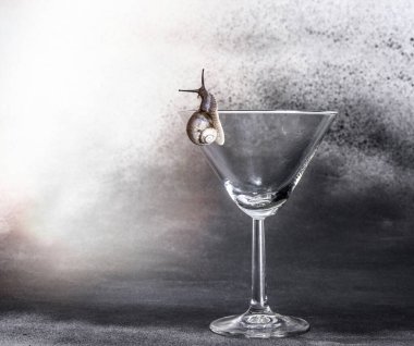 Cam üzerinde üzüm salyangozu..