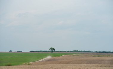 Tepelerdeki tarla sürmüş yeşil tarlalar. Resimli bahar manzarası. Kırsal alan. Soyut doğal desen, doku, arkaplan, duvar kağıdı