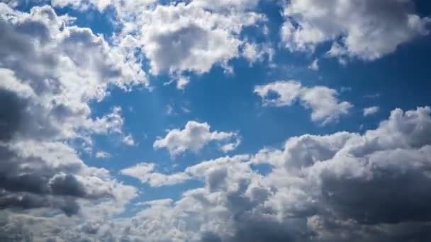 Темные Облака Движутся Высокой Скорости Небу — стоковое видео