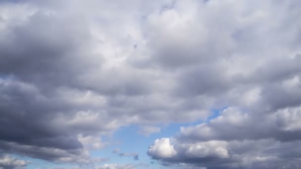 時間の経過雲 ロールパフィー雲 白い明るさの雲の時間の経過を移動している 青い空を横切る雲 4K背景に青い空の白い雲のタイムラプス 雲が来る — ストック動画
