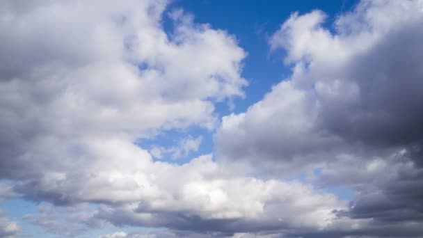 Cumuluswolken Die Door Blauwe Lucht Stromen Timelapse Van Witte Wolken — Stockvideo