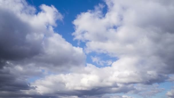 Хмари Кумулуса Простягаються Через Блакитне Небо Timelapse Білих Хмар Блакитним — стокове відео