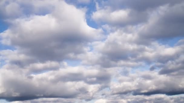 4K背景に青空が広がる積雲のタイムラプス 雲は右から左へ移動します — ストック動画