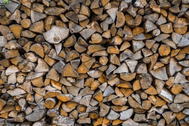 Kış için yakacak odun hazırlıyorum. Yakacak odun geçmişi, ormanda yakacak odun yığınları. Yakacak odun yığını.