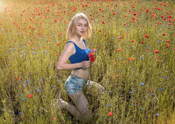 Beautiful Young Blonde Summer Clothes Fields Poppies Cornflowers — Stock Photo, Image