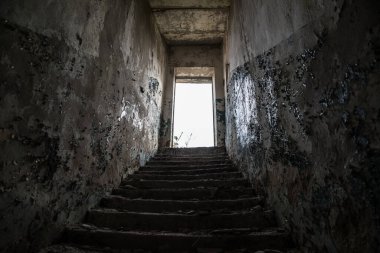 Bodrumdan ışığa doğru adımlar.