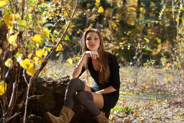 Portret Van Een Meisje Een Herfstpark Tegen Een Achtergrond Van — Stockfoto