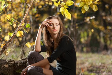 Sonbahar parkında bir kızın portresi sarı bir arka planda. Arka plan bulanık. Seçici odak.