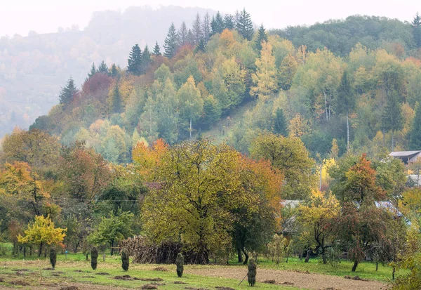山の中でカラフルな秋の木。暖色系の様々な風景. — ストック写真