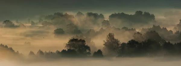 Mattina nebbia sulla pianura alluvionale del fiume — Foto Stock