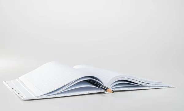 Notebook Xadrez Expandido Com Folhas Abertas Lápis Foco Seletivo Fundo — Fotografia de Stock
