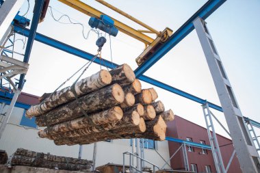 Bir ahşap atölyesinde elektrikli vinç ipiyle kütükleri kaldırmak..