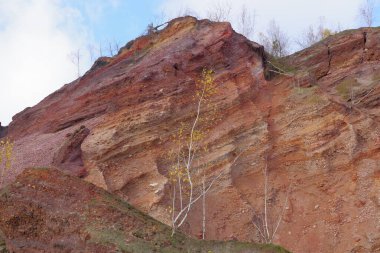 Mavi gökyüzüne karşı ağaçlarla kaplı kırmızı tepeler.