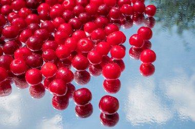 Aynalı bardakta taze kirazlar ve su damlaları. Seçici odaklanma. Bulanık arkaplan.