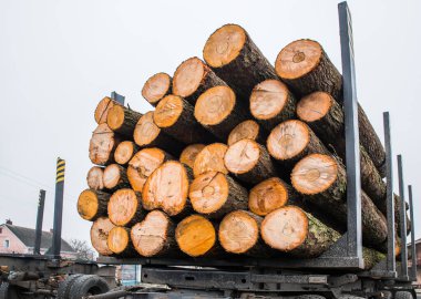 Bir kamyon römorkunun tahta kütükleri..