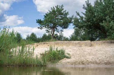 Bisiklet bir orman gölünün kumlu sahilinde duruyor ayrı bir çam ağacının altında, mavi bir gökyüzüne karşı..