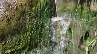 Küçük şelale ve yeşil algler..