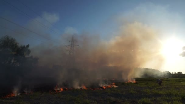 Grama seca está queimando no prado em torno da torre de alta tensão. Fumar e fuligem no ar. Catastrofia ecológica. — Vídeo de Stock