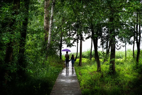 Boy Girl Umbrella Forest Trees Rain Silhouette Lumen — Stock Photo, Image