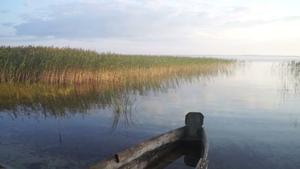 Houten Boot Bij Het Meer — Stockvideo