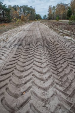 Sonbaharda Derin Lastik İzleriyle Sandy Ormanı Yolu