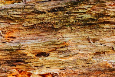 Mobilyalar için eski ahşap arkaplan eski tarz soyut arkaplan nesneleri.