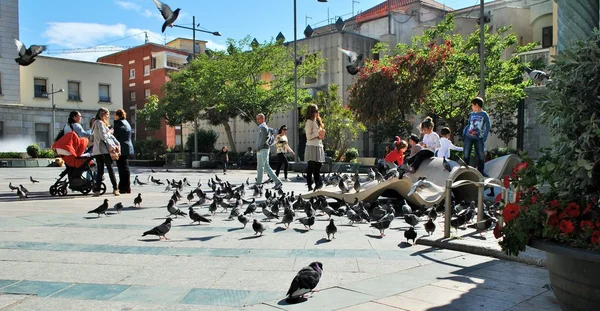 Tauben und Menschen auf der Straße — Stockfoto