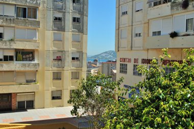 Benim mahalle sokaklarında bir ağaçta