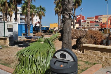 Hurma ve palmiye ağaçları bir İspanyol şehir parkının gound üzerinde yalan.