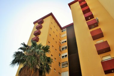 palmiye ağaçları ve Binalar bir mahalle benim şehrimde