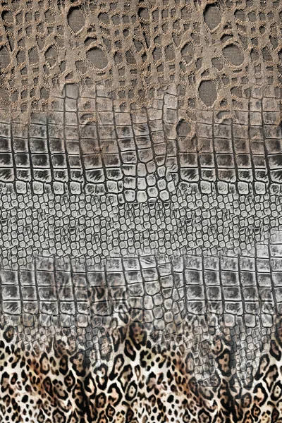 Abstract Background Snake Skin — Stock Photo, Image