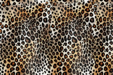 Leopar deri desen arka plan