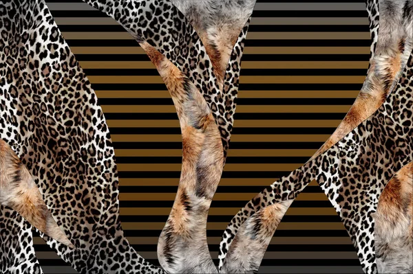 有长颈鹿图案的豹纹 — 图库照片