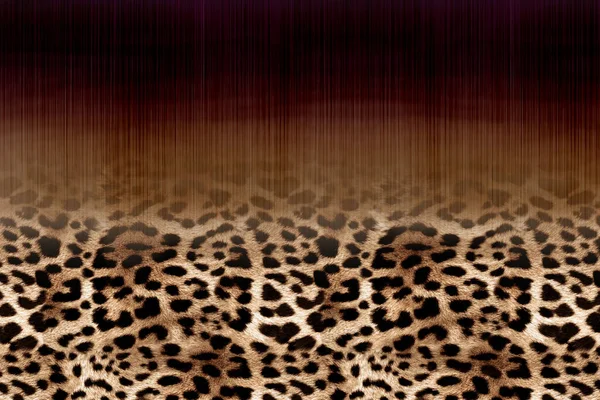 Фон Текстури Шкіри Leopard — стокове фото
