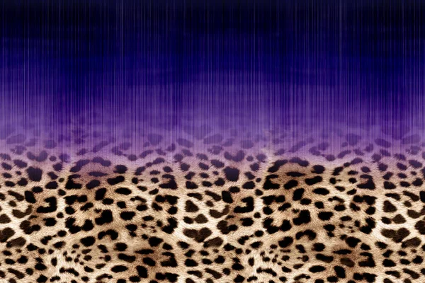 Abstrakter Hintergrund Mit Leopardenmuster — Stockfoto