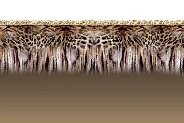 Λεοπάρδαλη Κεφάλι Ζώο Αρπακτικό — Φωτογραφία Αρχείου