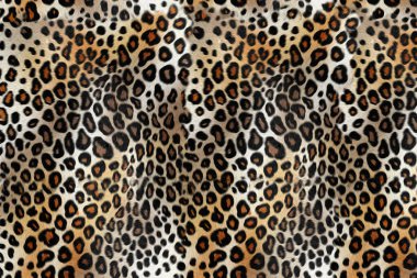 Leopar deri desen arka plan