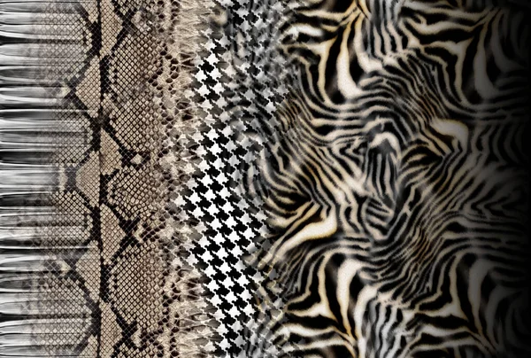 Textura Pele Zebra Padrão Pêlo Animal — Fotografia de Stock