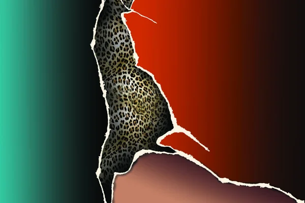 Leopard Print Vector Illustration — Stock Fotó