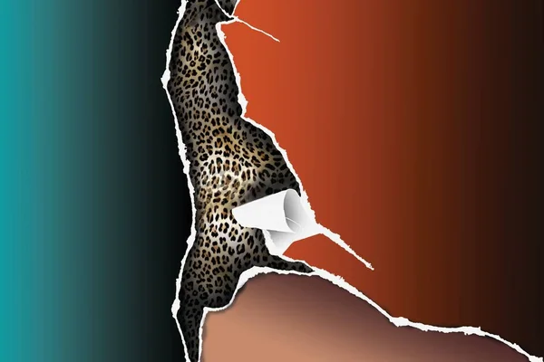 Illustration Leopard Cat — Stock Photo, Image