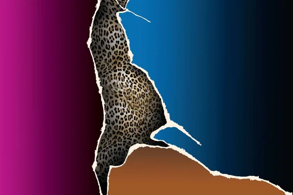 Leopard Print Vector Illustration — Stockfoto